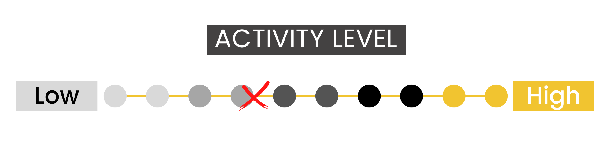 manuka honey activity amount End of the World Honey Co MGO 100+ Manuka Honey